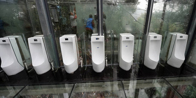 banheiro transparente… você usaria ?