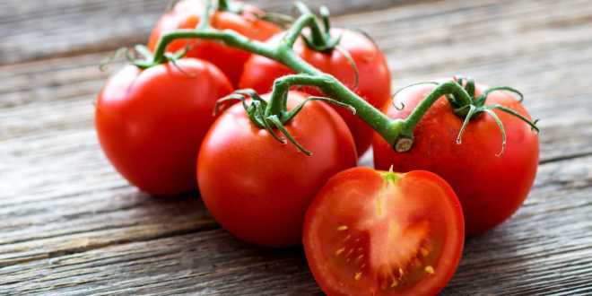 Importância do tomate