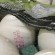 Empresa lança ovos orgânicos com prazo de validade carimbado na casca