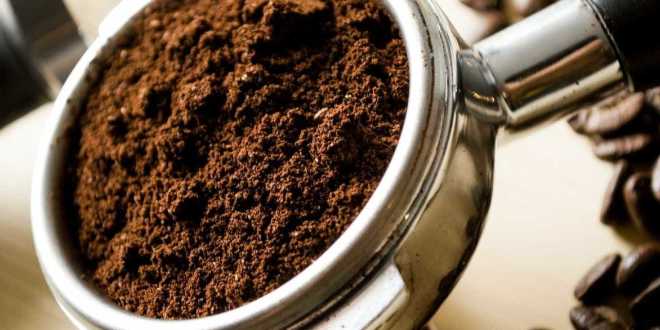 Mestrado em café na Itália dá bolsa integral para brasileiro