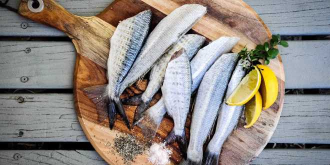 Veja 8 peixes e frutos do mar que você deve evitar