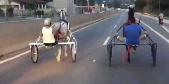 Charretes estavam a 50 km/h durante ‘racha’ em rodovia paulista