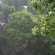 Vendaval derruba árvores e causa morte de morador em Piracicaba