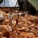 Número de mortos pelo ciclone Idai chega a 783 no sudeste da África